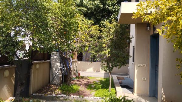 בשכונת בנימינה