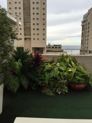 הרב קוק 12, כרם התימנים