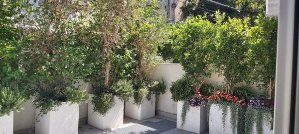 אלעזר החורני, הצפון החדש החלק הצפוני