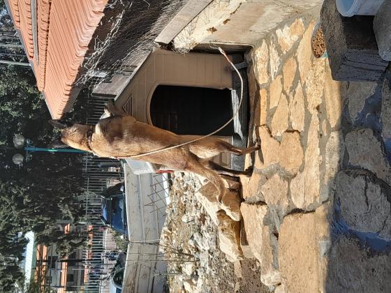 טובה עם ילדים