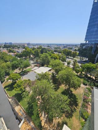 בשכונת נאות יהודית