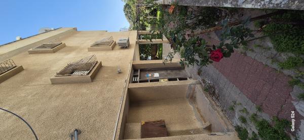 צבי שץ 59, גרין ועם