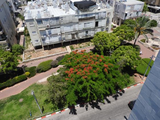 הרצל 88, מרכז העיר