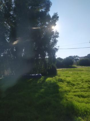 דגניה 25, קרית חיים מערבית