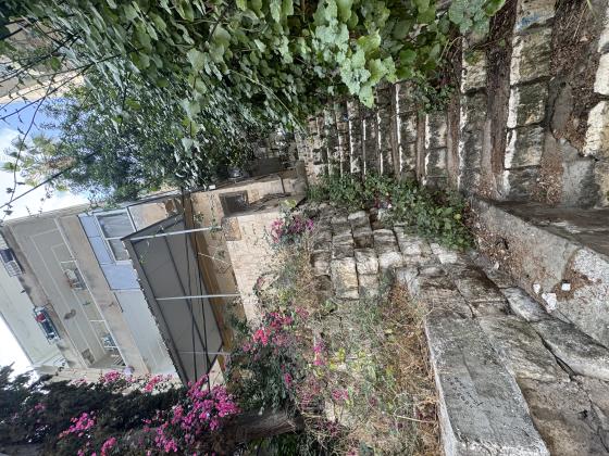 מסדה, הדר עליון