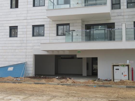 החזון איש 33