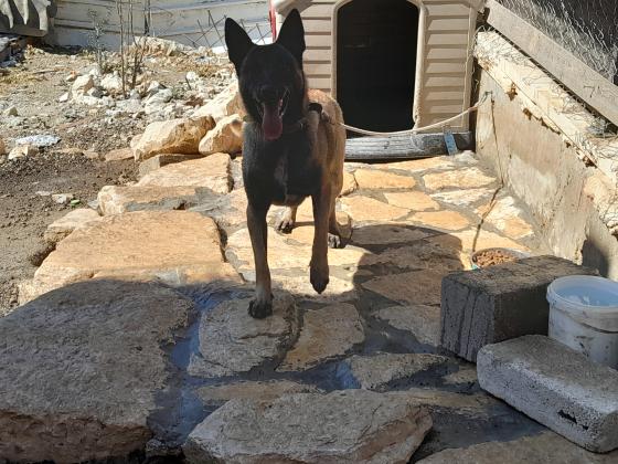 טובה עם ילדים