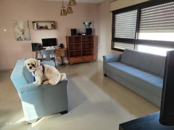 יעקב פיכמן 4, נווה זאב