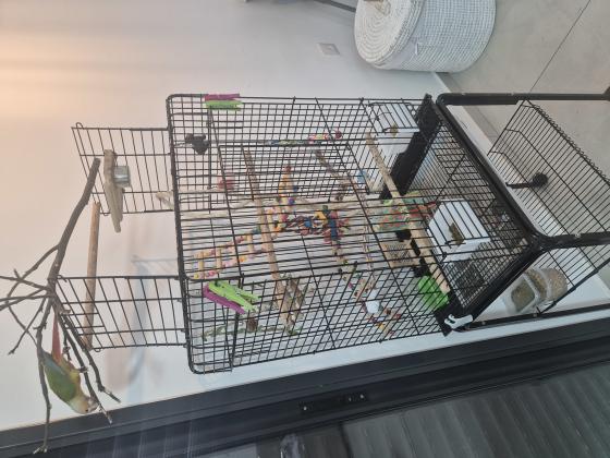 אביזרים מושקעים במצב טוב! לתוכים