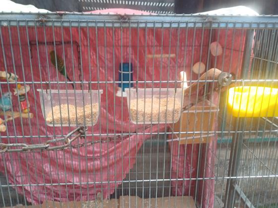 ארבעה תוכנים יפיפים וחמודים ב200