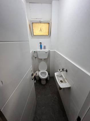 פרי מגדים 106, מישור הגפן