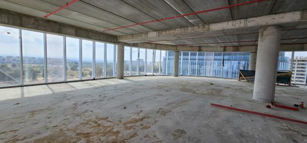 עופרה חזה 5, פרדס רייספלד