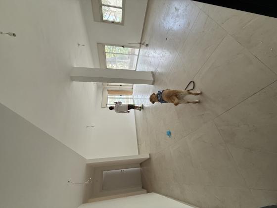 ליונל ווטסון 3, רמת בגין