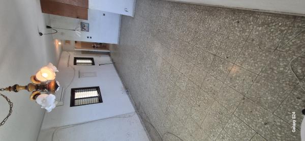 צבי שץ 59, גרין ועם