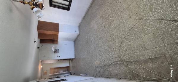 צבי שץ 59, גרין ועם