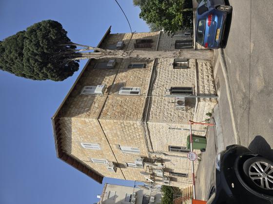 הגנים 30, המושבה הגרמנית