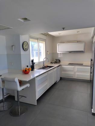 תאנה 11, קדמת דניה