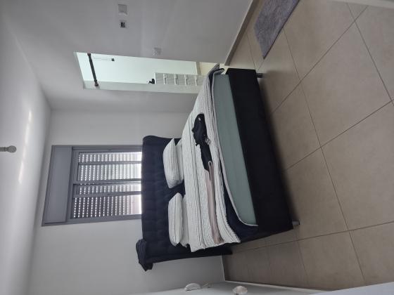 דפנה 6, סיגליות