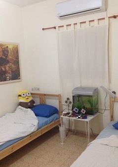 בילינסון 7, למפרט;פועלים ב