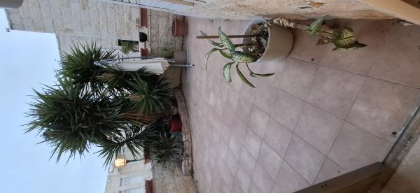 בשכונת מלחה