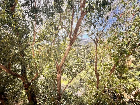 מימון, נוה שאנן