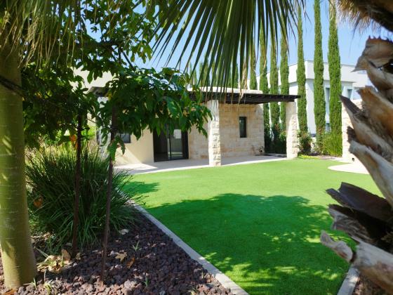 אלי עמיר 13, מרכז העיר