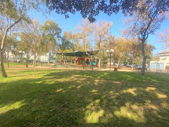 בשכונת תל ברוך