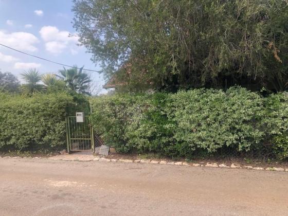 בשכונת הפרחים