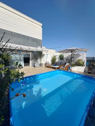 אורגד 1, כוכב הצפון