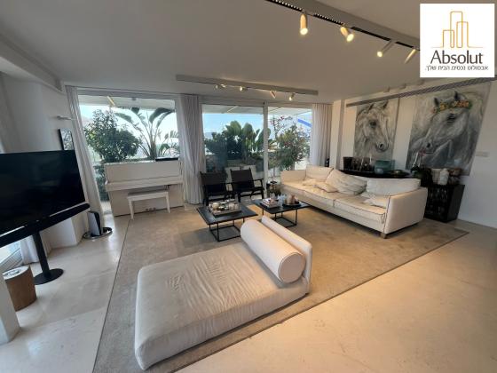 בורלא, תוכנית ל