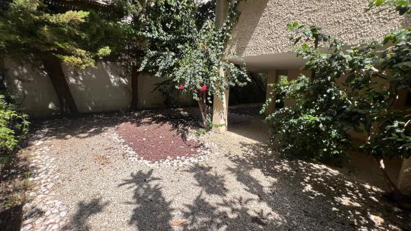 בשכונת רסקו א