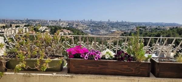 החסידה 17, גילה