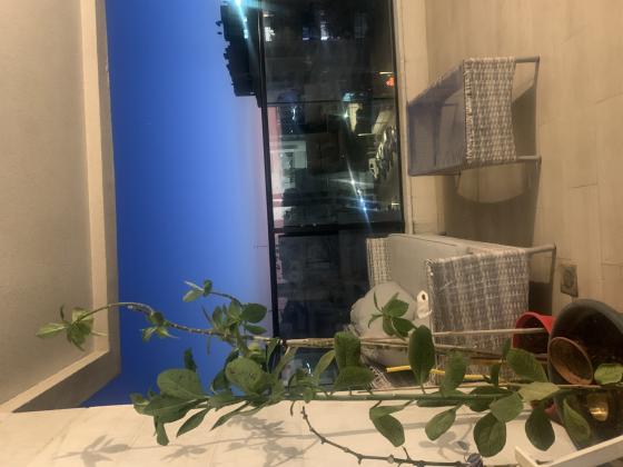 ביאליק 30, מרכז העיר