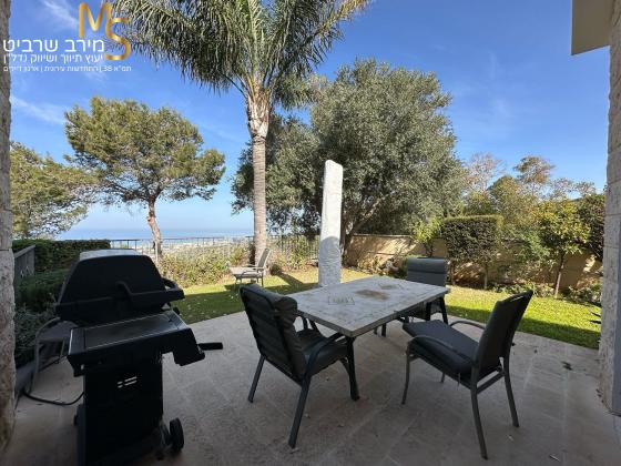 לבון פנחס, דניה