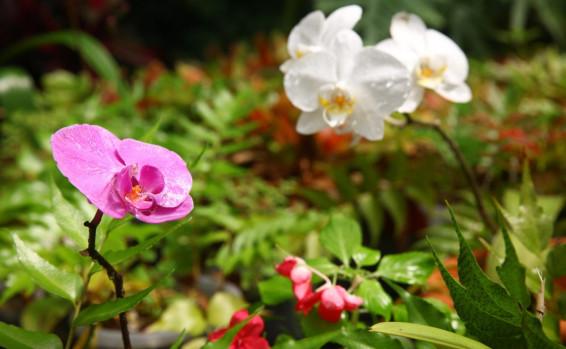 יוכבד בת מרים, תל ברוך צפון