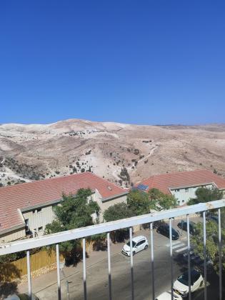 בשכונת כלי שיר