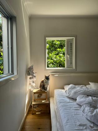 נהר דעא, הצפון החדש החלק הדרומי