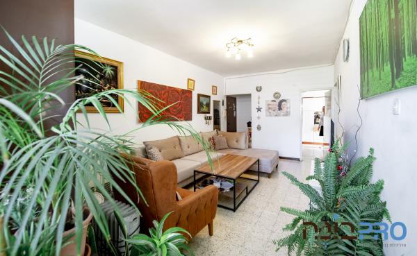 וקסלר 4, רמב"ם