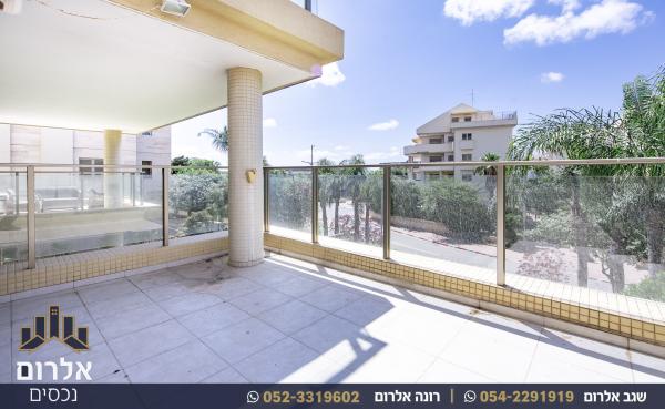 הלוטוס 19, 2005