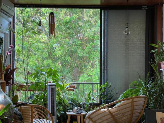 שלמה המלך, הצפון הישן החלק הדרום מזרחי