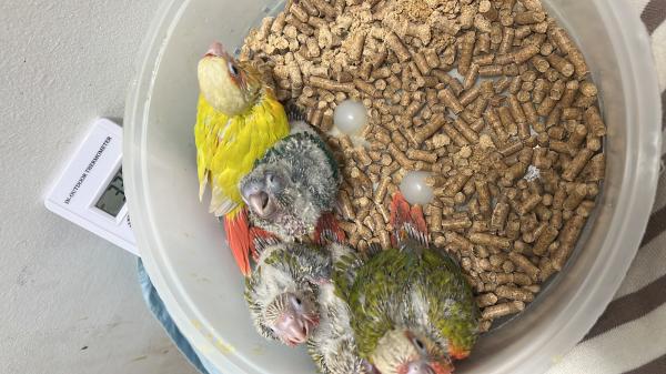 אצלנו בחוות החופש תמצאו את