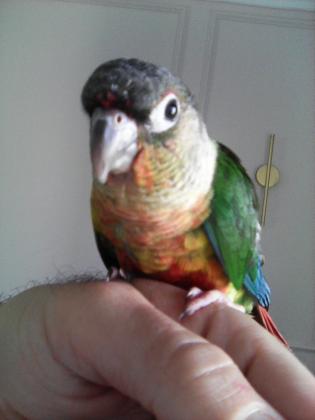 אכלת יד חמוד מאוד ,