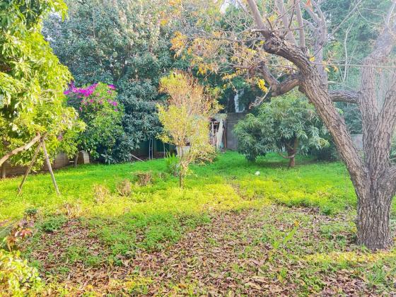 בשכונת פרדס רייספלד