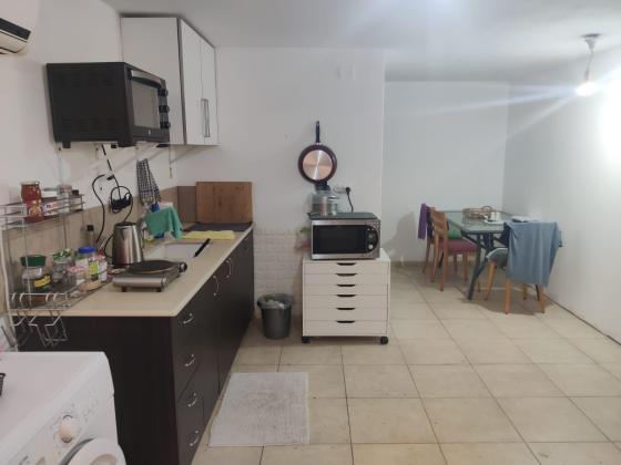 אנפה 68, הציפורים