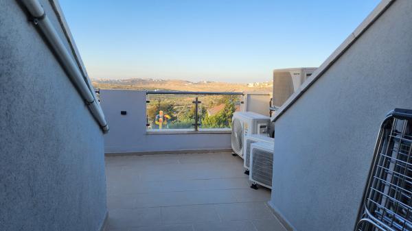 יוני נתניהו 218