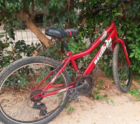 אופני הרים בסידן-נוער חזקים