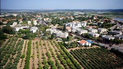 בשכונת בנימינה