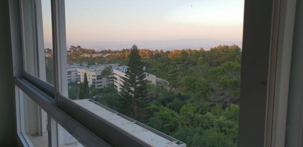 שלון 21, סביוני דניה