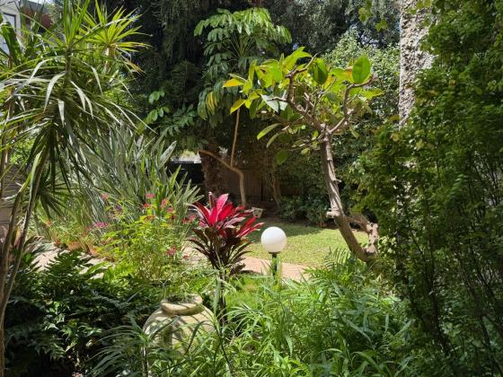 בשכונת קרית יערים