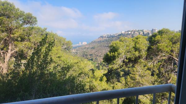 סמטת אהרון, אחוזה